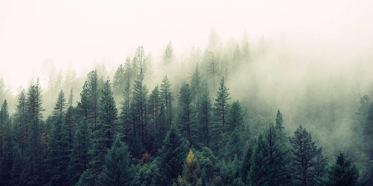 How to Recognize and Respond to the Voice of the Holy Spirit