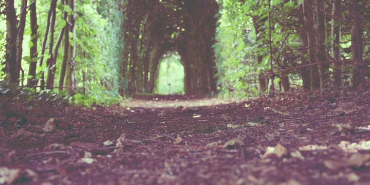 Cultivating a Lifestyle of Worship Beyond the Sunday Service